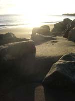 DSCN1758