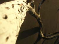 DSCN1769