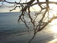 DSCN1773