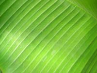 DSCN0561