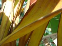 DSCN0574